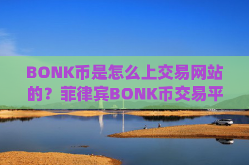 BONK币是怎么上交易网站的?菲律宾BONK币交易平台app