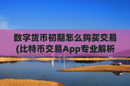 数字货币初期怎么购买交易(比特币交易App专业解析)