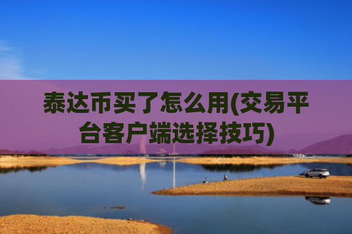 泰达币买了怎么用(交易平台客户端选择技巧)