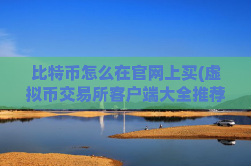 比特币怎么在官网上买(虚拟币交易所客户端大全推荐)