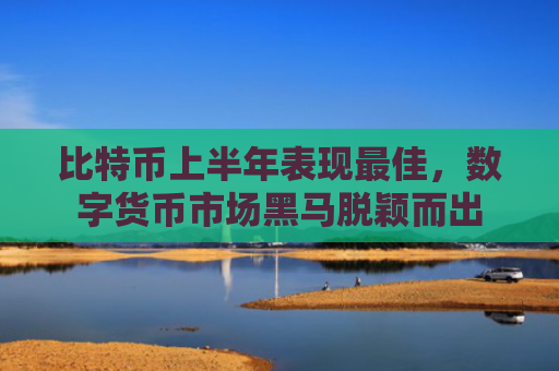 比特币上半年表现最佳，数字货币市场黑马脱颖而出