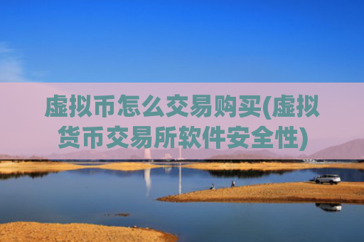 虚拟币怎么交易购买(虚拟货币交易所软件安全性)