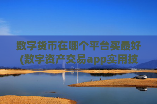 数字货币在哪个平台买最好(数字资产交易app实用技巧)