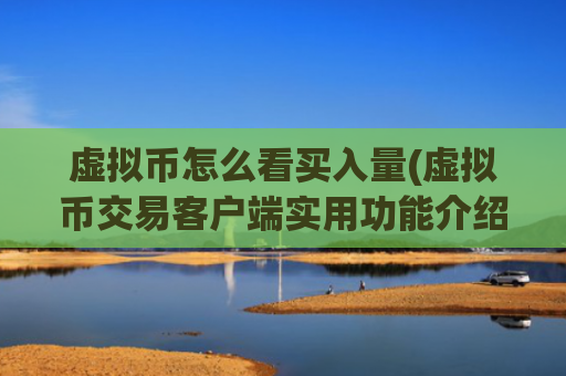 虚拟币怎么看买入量(虚拟币交易客户端实用功能介绍)