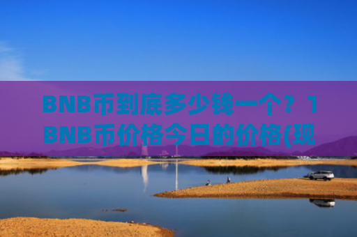 BNB币到底多少钱一个?1BNB币价格今日的价格(现价5271.55元)