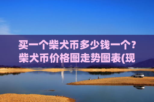 买一个柴犬币多少钱一个？柴犬币价格图走势图表(现价0.00023776元)