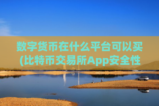 数字货币在什么平台可以买(比特币交易所App安全性分析)