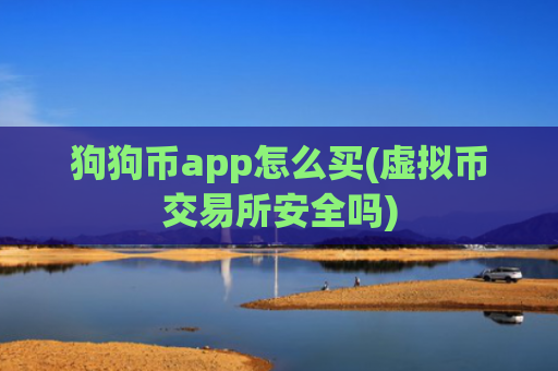 狗狗币app怎么买(虚拟币交易所安全吗)