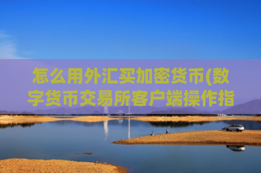怎么用外汇买加密货币(数字货币交易所客户端操作指南)