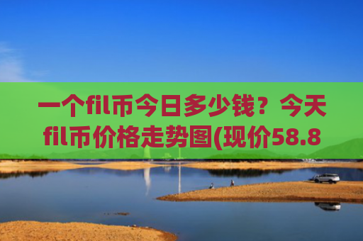 一个fil币今日多少钱？今天fil币价格走势图(现价58.8555元)