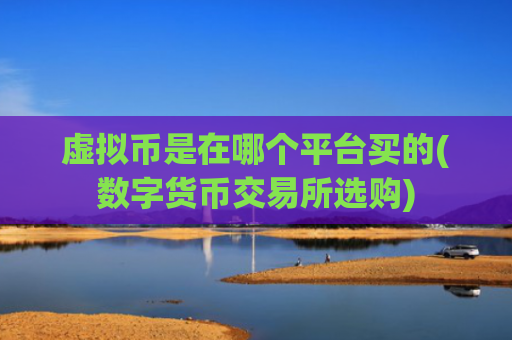 虚拟币是在哪个平台买的(数字货币交易所选购)