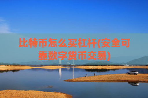 比特币怎么买杠杆(安全可靠数字货币交易)