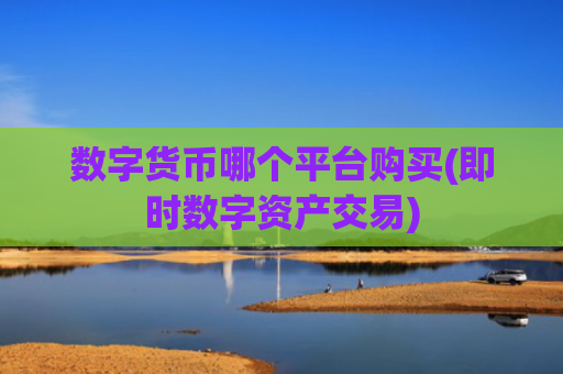 数字货币哪个平台购买(即时数字资产交易)
