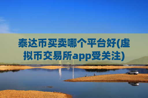 泰达币买卖哪个平台好(虚拟币交易所app受关注)