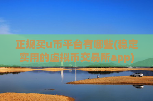 正规买u币平台有哪些(稳定实用的虚拟币交易所app)