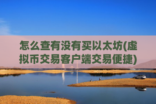 怎么查有没有买以太坊(虚拟币交易客户端交易便捷)