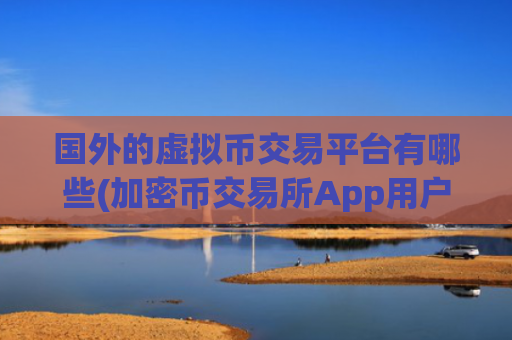 国外的虚拟币交易平台有哪些(加密币交易所App用户量上涨)