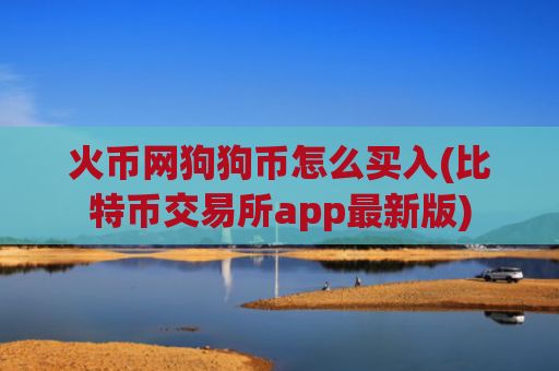 火币网狗狗币怎么买入(比特币交易所app最新版)