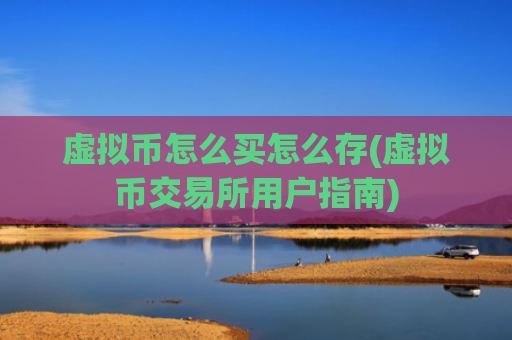 虚拟币怎么买怎么存(虚拟币交易所用户指南)