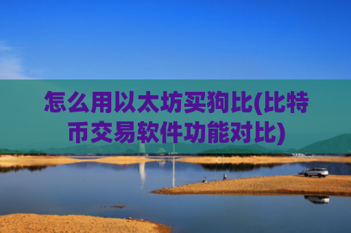 怎么用以太坊买狗比(比特币交易软件功能对比)