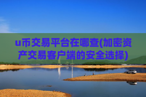 u币交易平台在哪查(加密资产交易客户端的安全选择)