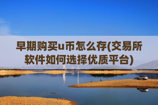 早期购买u币怎么存(交易所软件如何选择优质平台)