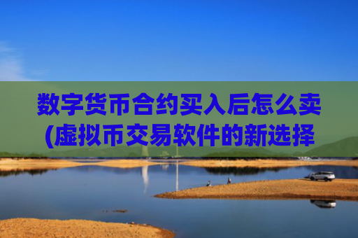 数字货币合约买入后怎么卖(虚拟币交易软件的新选择)