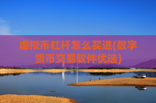 虚拟币杠杆怎么买进(数字货币交易软件优选)