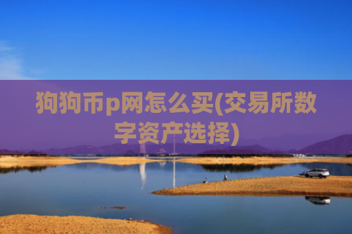 狗狗币p网怎么买(交易所数字资产选择)