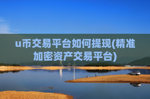 u币交易平台如何提现(精准加密资产交易平台)
