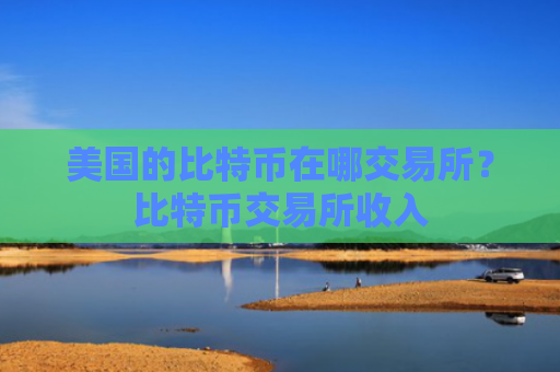 美国的比特币在哪交易所?比特币交易所收入