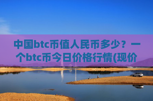 中国btc币值人民币多少?一个btc币今日价格行情(现价748291.64元)