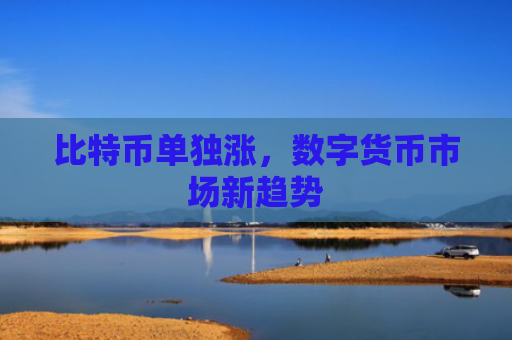 比特币单独涨,数字货币市场新趋势