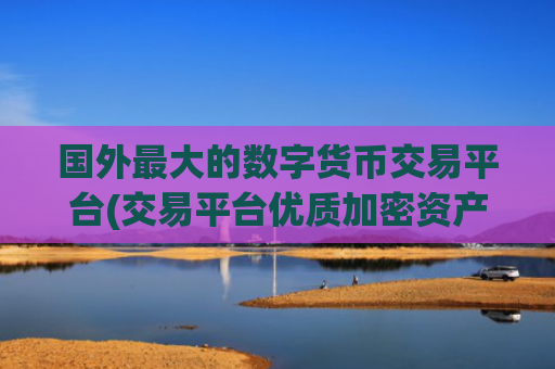 国外最大的数字货币交易平台(交易平台优质加密资产推荐)