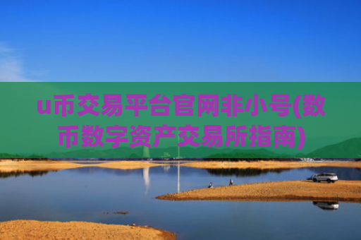 u币交易平台官网非小号(数币数字资产交易所指南)