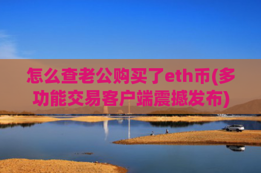 怎么查老公购买了eth币(多功能交易客户端震撼发布)
