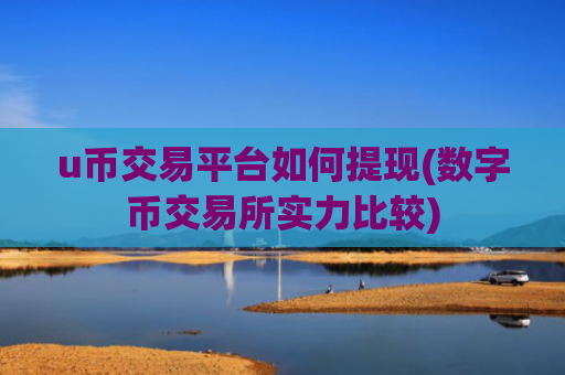 u币交易平台如何提现(数字币交易所实力比较)