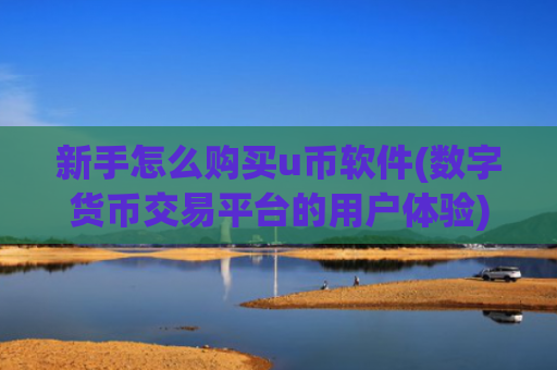 新手怎么购买u币软件(数字货币交易平台的用户体验)