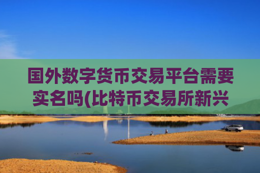 国外数字货币交易平台需要实名吗(比特币交易所新兴)