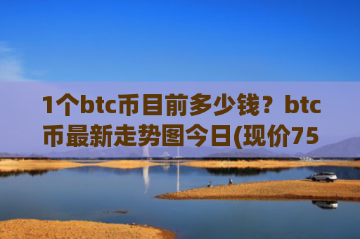 1个btc币目前多少钱?btc币最新走势图今日(现价750340.92元)