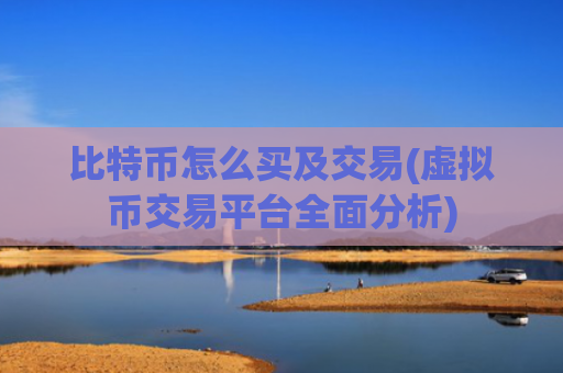 比特币怎么买及交易(虚拟币交易平台全面分析)