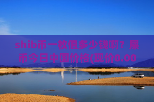 shib币一枚值多少钱啊？屎币今日中国价格(现价0.00022871元)