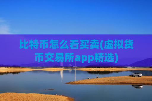 比特币怎么看买卖(虚拟货币交易所app精选)