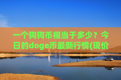 一个狗狗币相当于多少？今日的doge币最新行情(现价3.0216元)