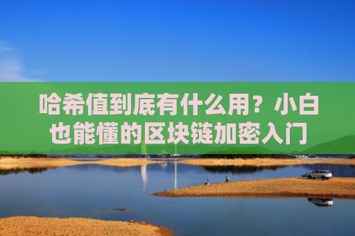 哈希值到底有什么用？小白也能懂的区块链加密入门