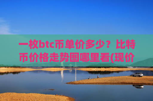 一枚btc币单价多少？比特币价格走势图哪里看(现价715653.99元)
