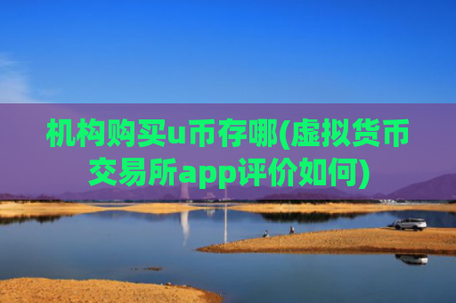 机构购买u币存哪(虚拟货币交易所app评价如何)