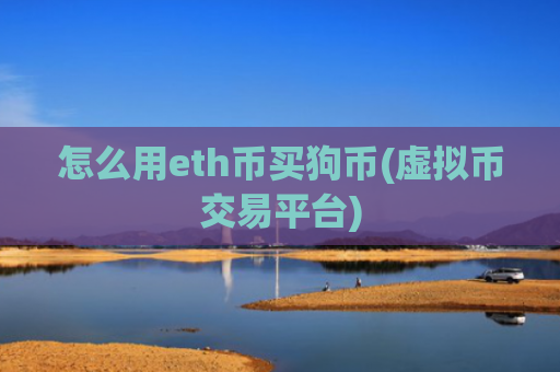 怎么用eth币买狗币(虚拟币交易平台)
