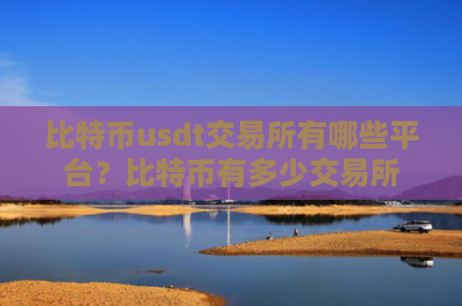 比特币usdt交易所有哪些平台？比特币有多少交易所