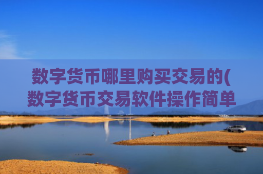 数字货币哪里购买交易的(数字货币交易软件操作简单)